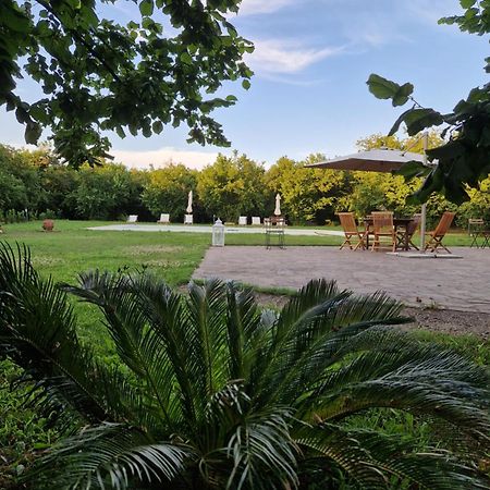 Agriturismo Terre Di Nelio Vignanello Kültér fotó
