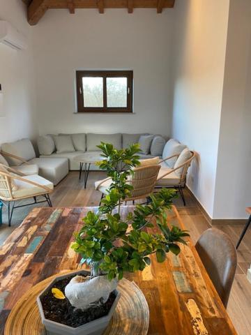 Agriturismo Terre Di Nelio Vignanello Kültér fotó